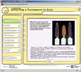 Transposon Lab