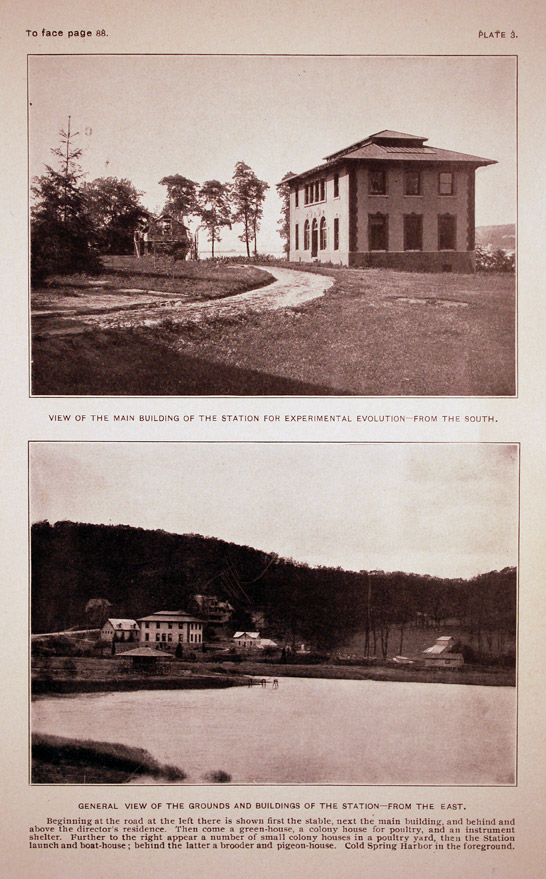 Station for Experimental Evolution