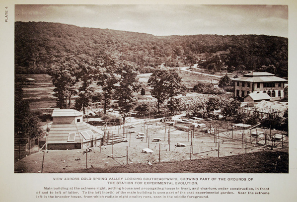 Station for Experimental Evolution