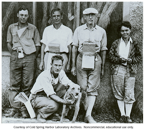 Barbara McClintock
