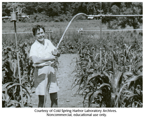 Barbara McClintock in Cornfield