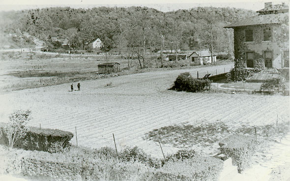 Cold Spring Harbor Laboratory Cornfield