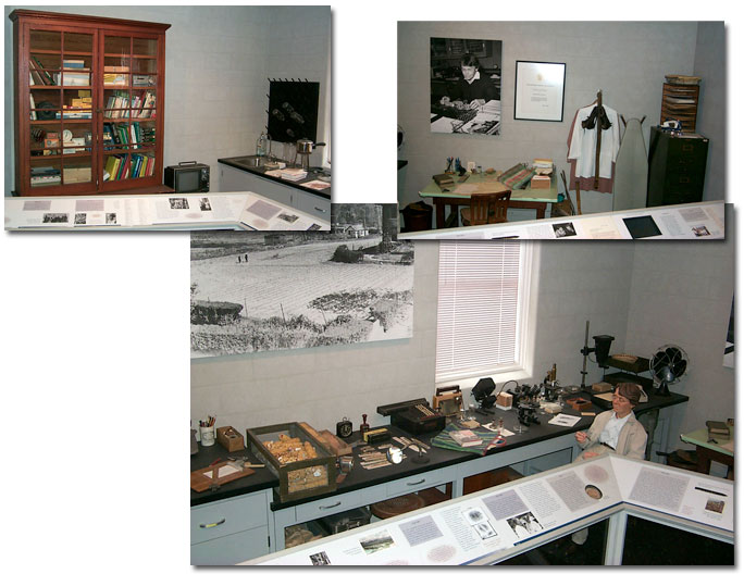 Barbara McClintock's World