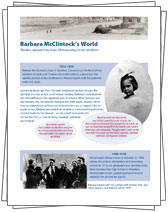 PDF link