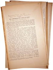 Maize Field Paper